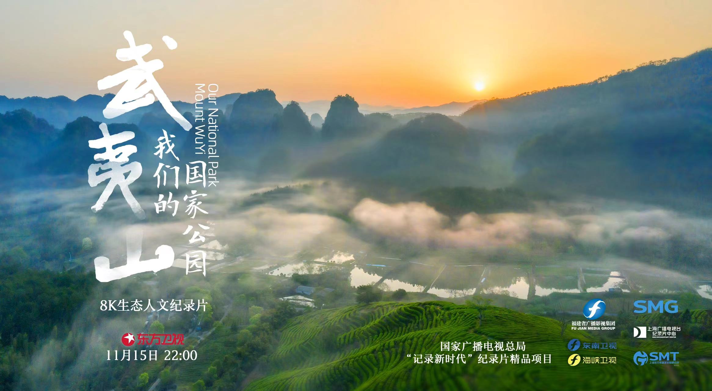 反套路长评专栏